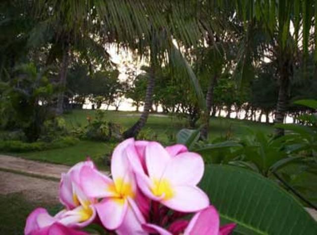 Otuhaka Beach Resort Kanokupolu Rum bild